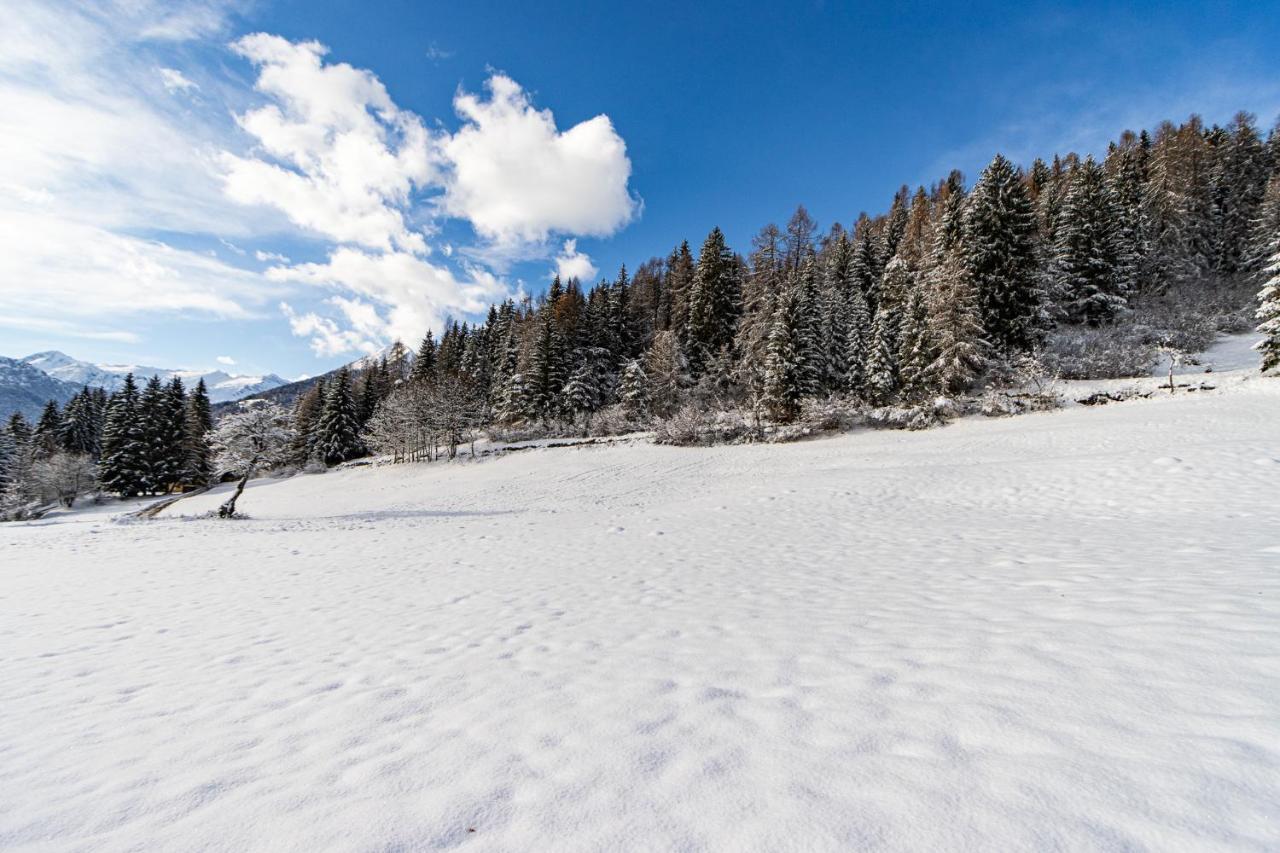 Nido Del Brenta Apartment Madonna di Campiglio Luaran gambar