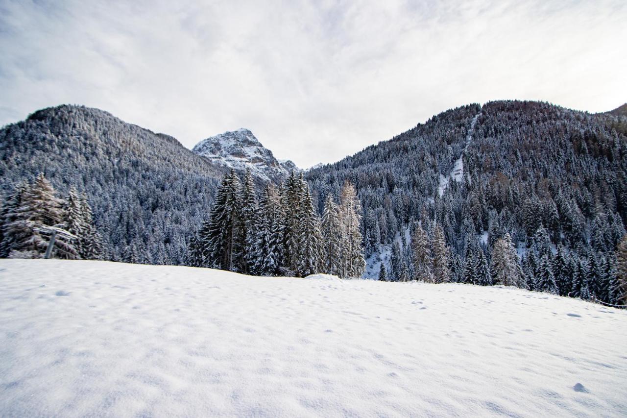 Nido Del Brenta Apartment Madonna di Campiglio Luaran gambar